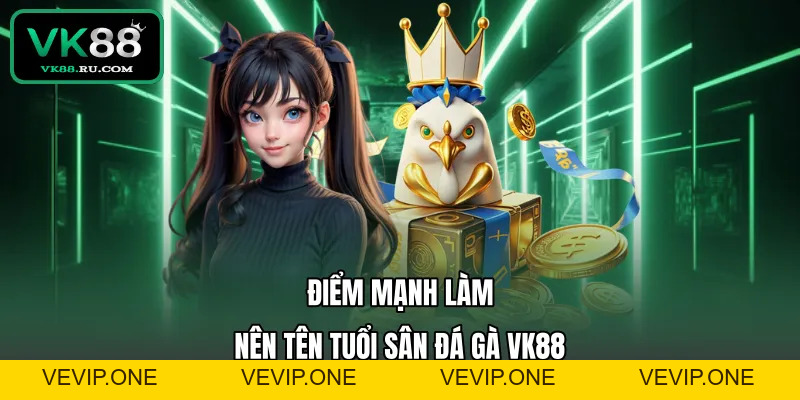 Đá Gà VK88 – Sảnh Cược Chiến Kê Trực Tuyến Uy Tín