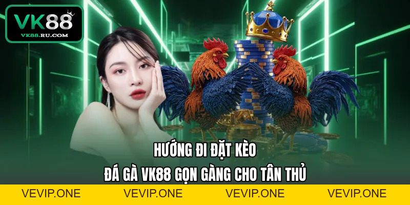 Đá Gà VK88 – Sảnh Cược Chiến Kê Trực Tuyến Uy Tín