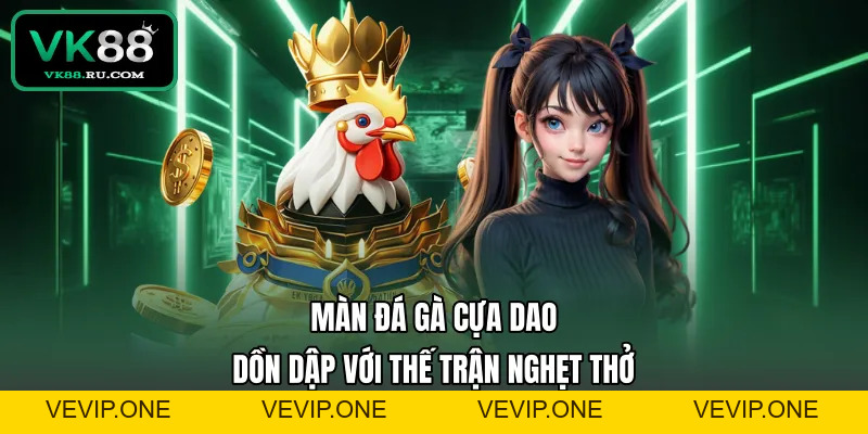 Đá Gà VK88 – Sảnh Cược Chiến Kê Trực Tuyến Uy Tín