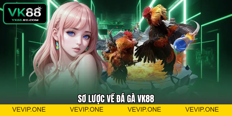 Đá Gà VK88 – Sảnh Cược Chiến Kê Trực Tuyến Uy Tín