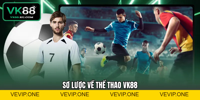 Thể Thao VK88 – Sảnh Cá Cược Trực Tuyến Đẳng Cấp